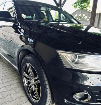 Audi Q5 cena 49999 przebieg: 303037, rok produkcji 2012 z Włocławek małe 254